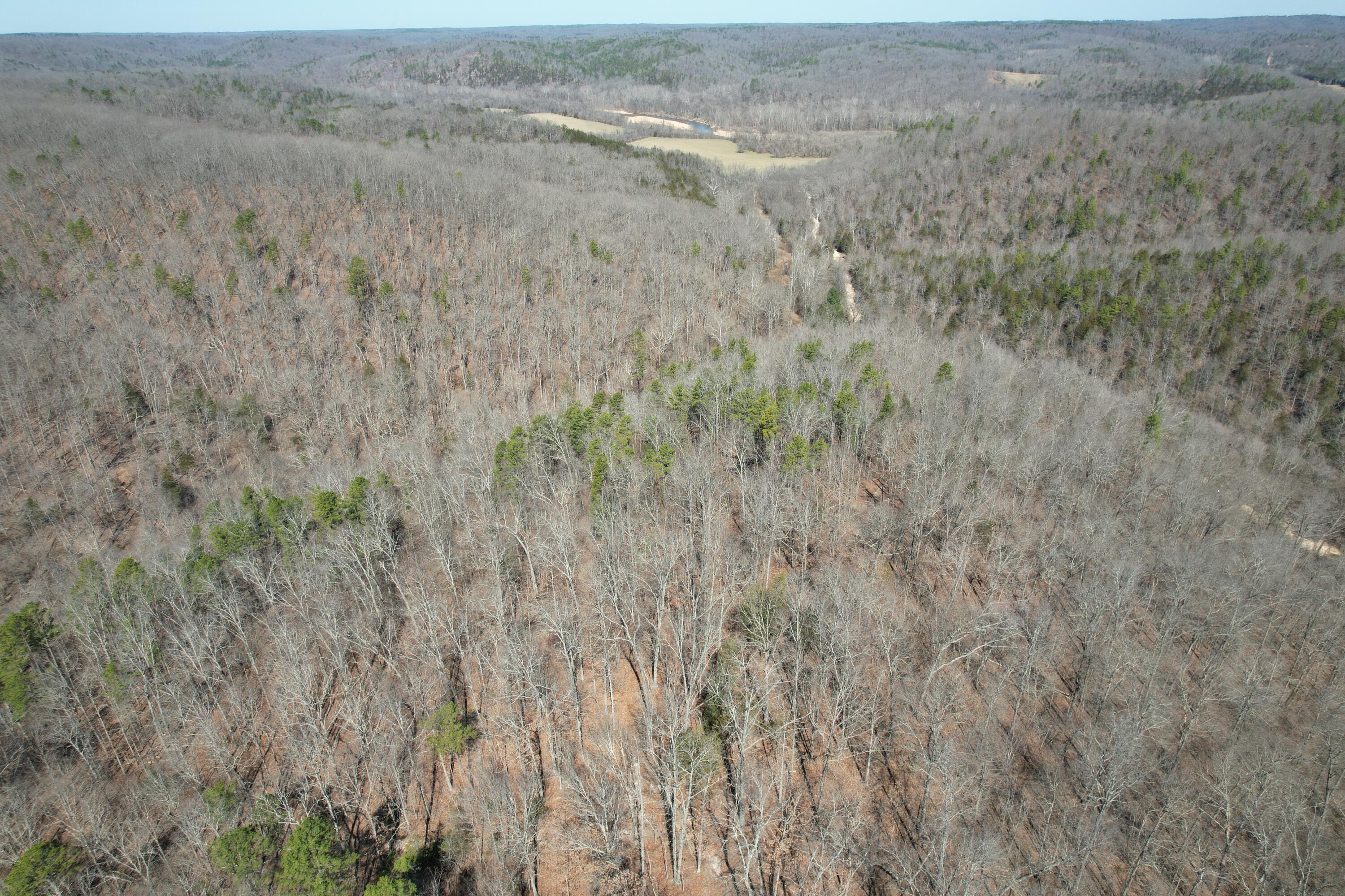 000 County Road 309 Property Photo 28