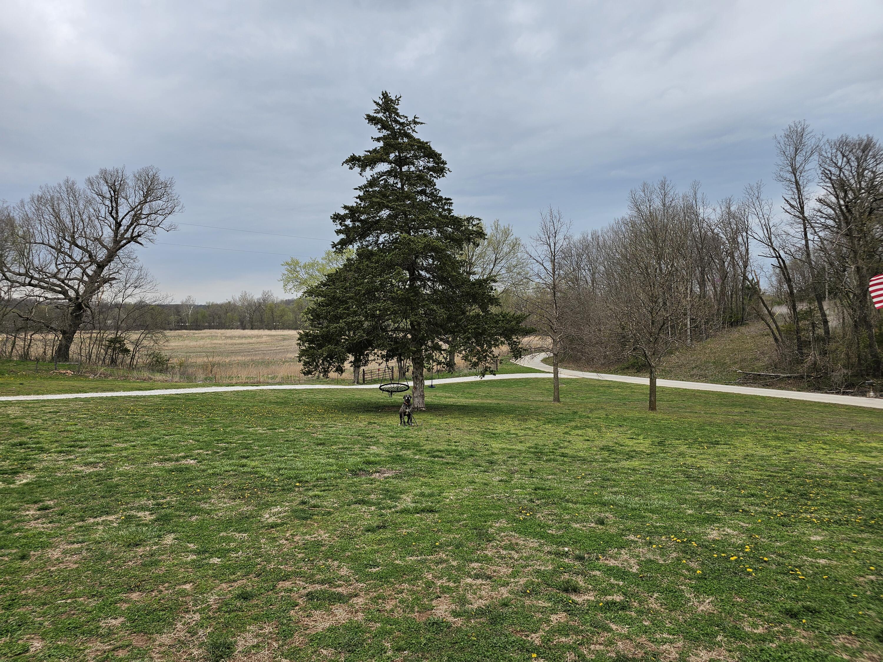 8798 Vole Drive Property Photo 34