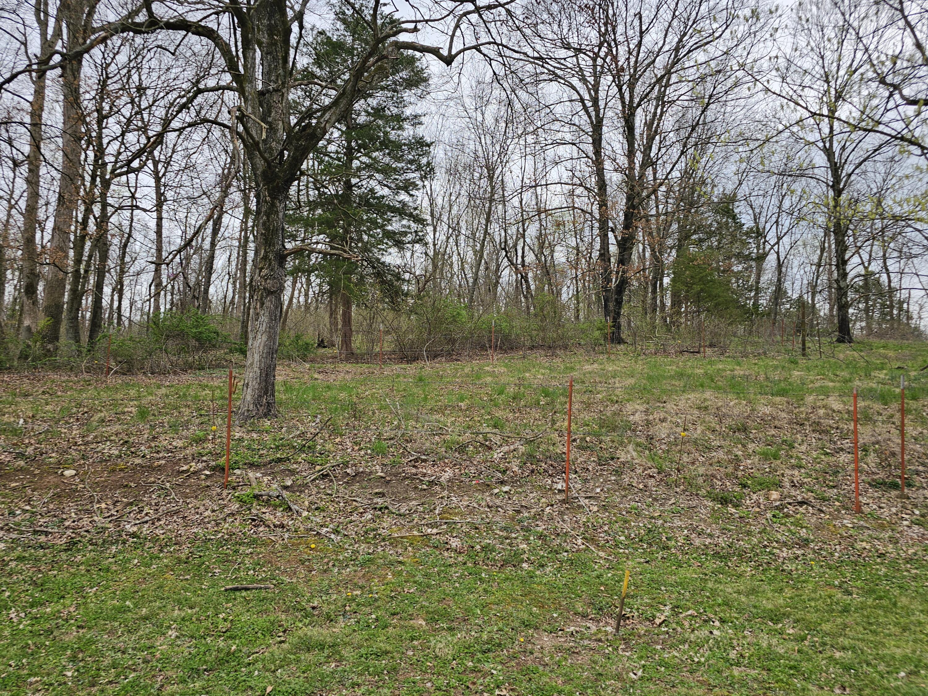 8798 Vole Drive Property Photo 37