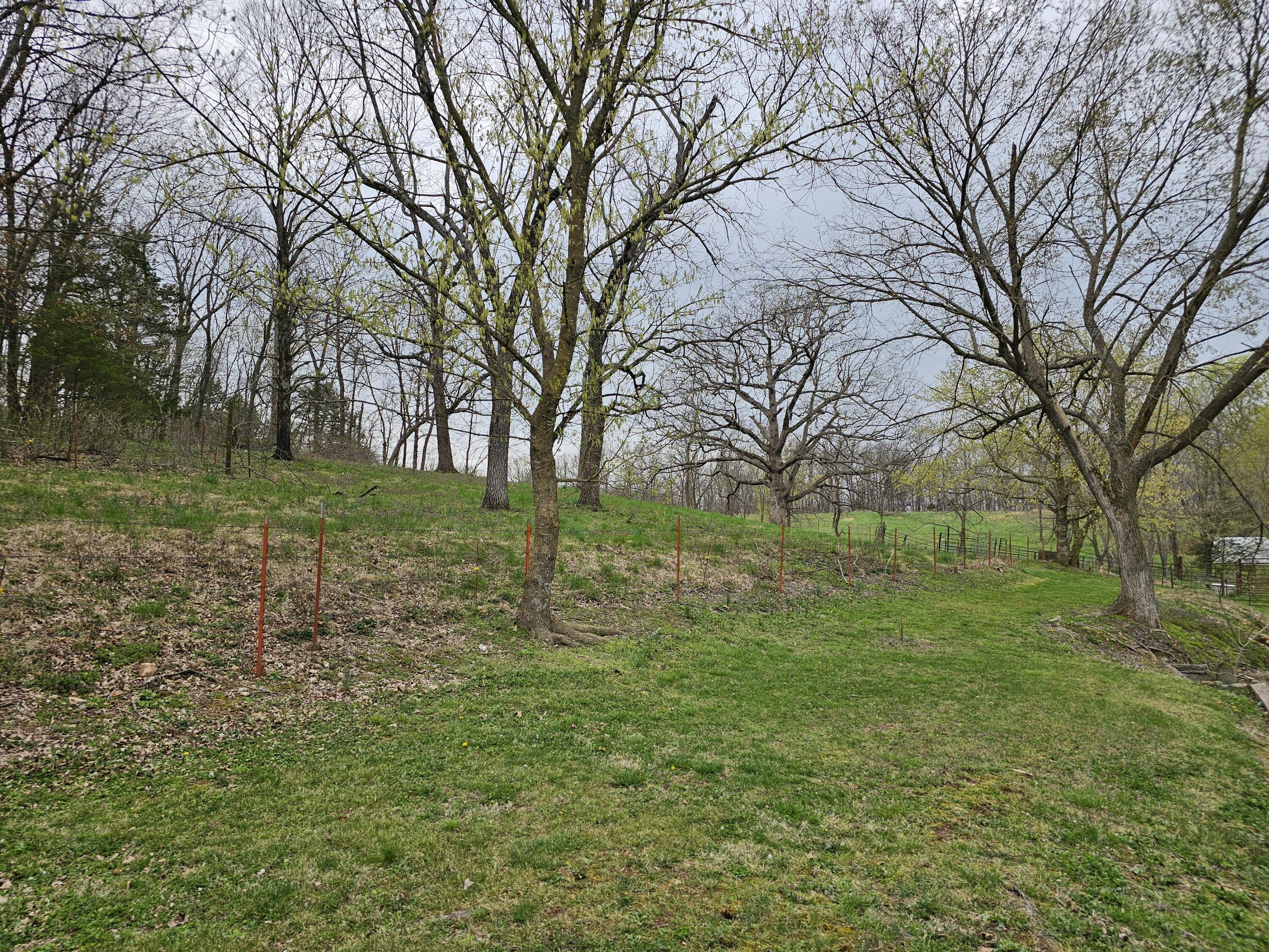 8798 Vole Drive Property Photo 38