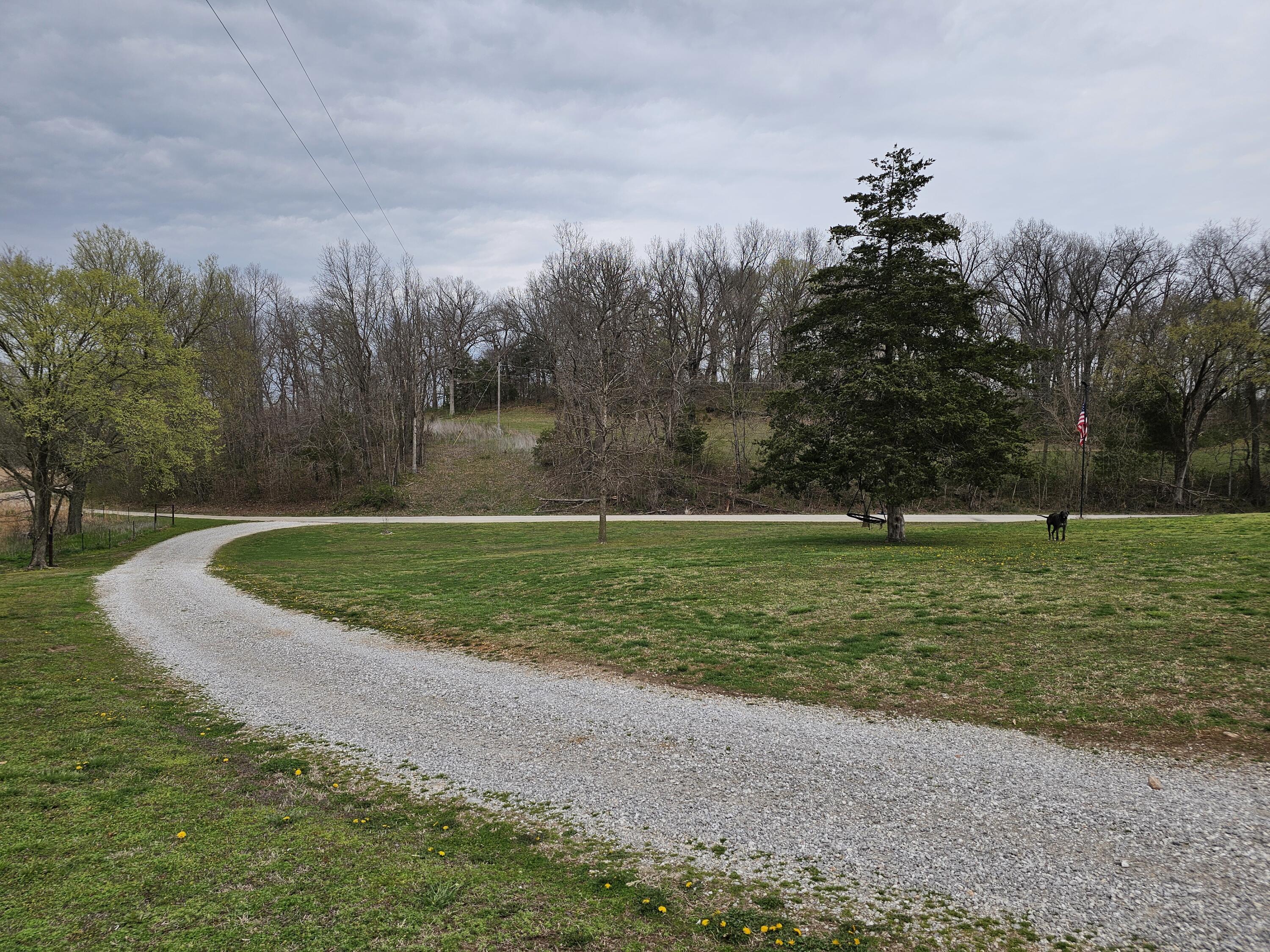 8798 Vole Drive Property Photo 40