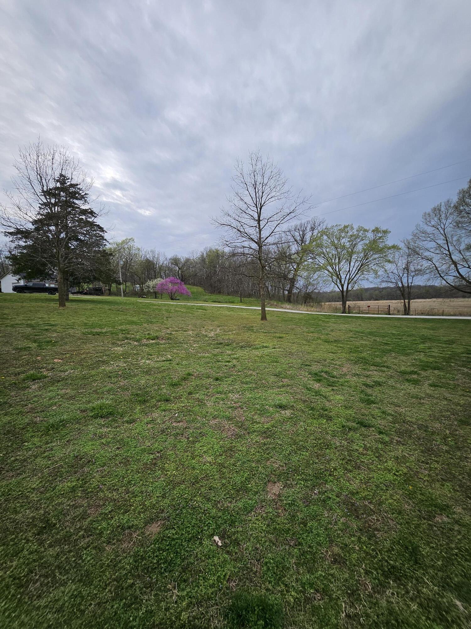 8798 Vole Drive Property Photo 45