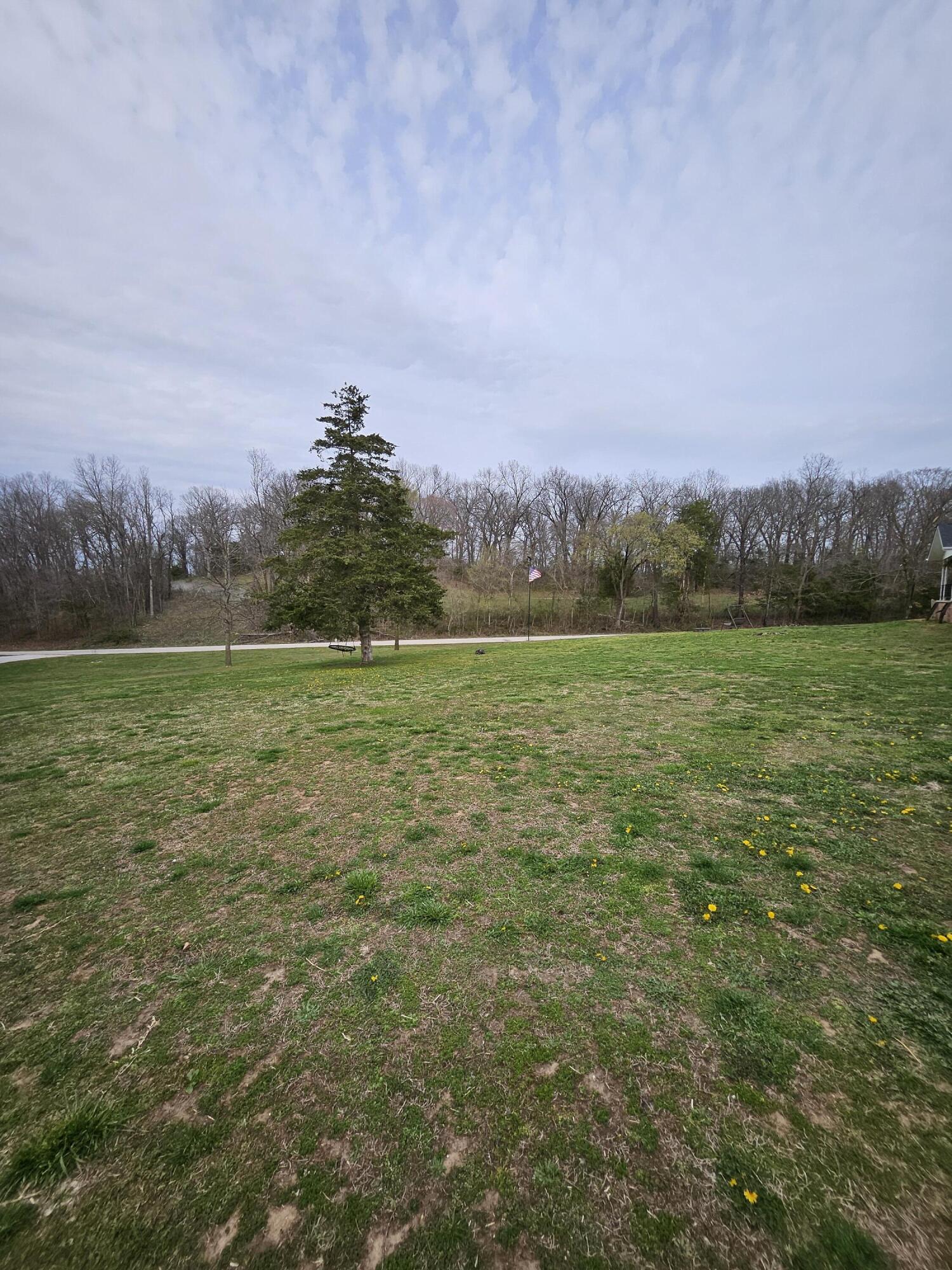 8798 Vole Drive Property Photo 51