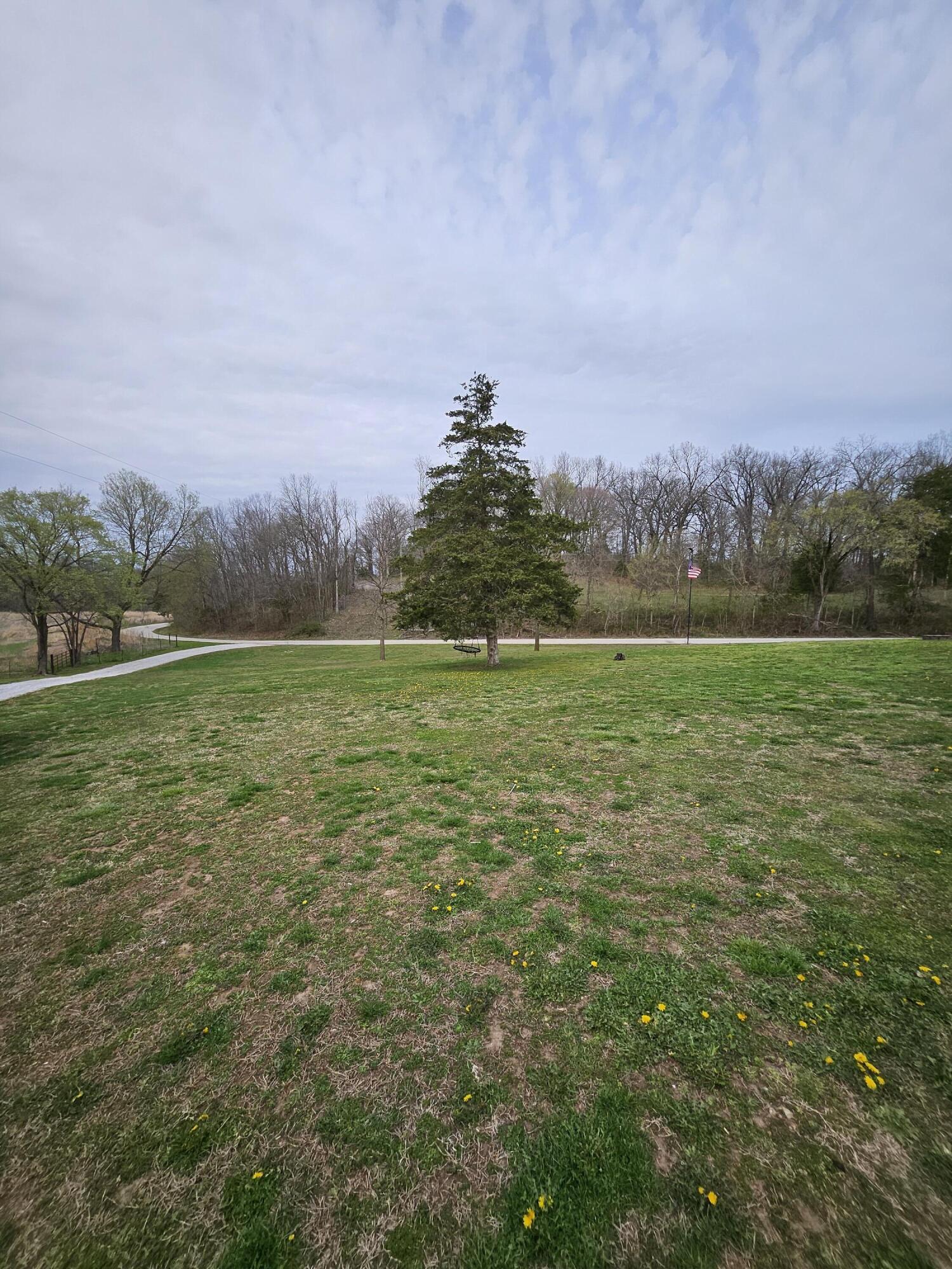 8798 Vole Drive Property Photo 52