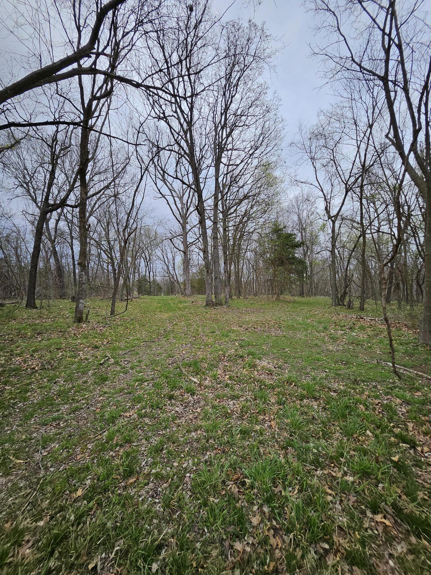 8798 Vole Drive Property Photo 58