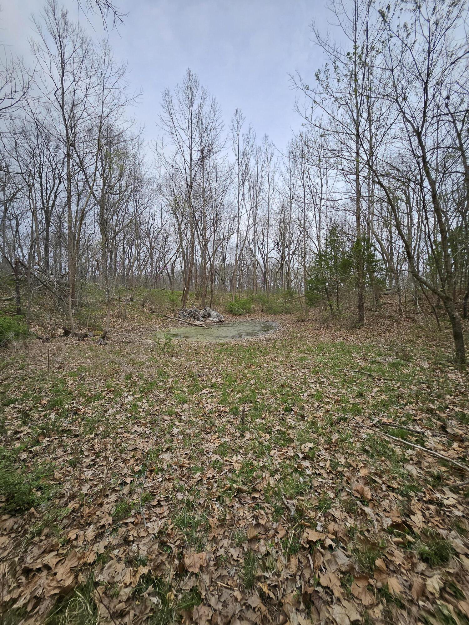8798 Vole Drive Property Photo 59