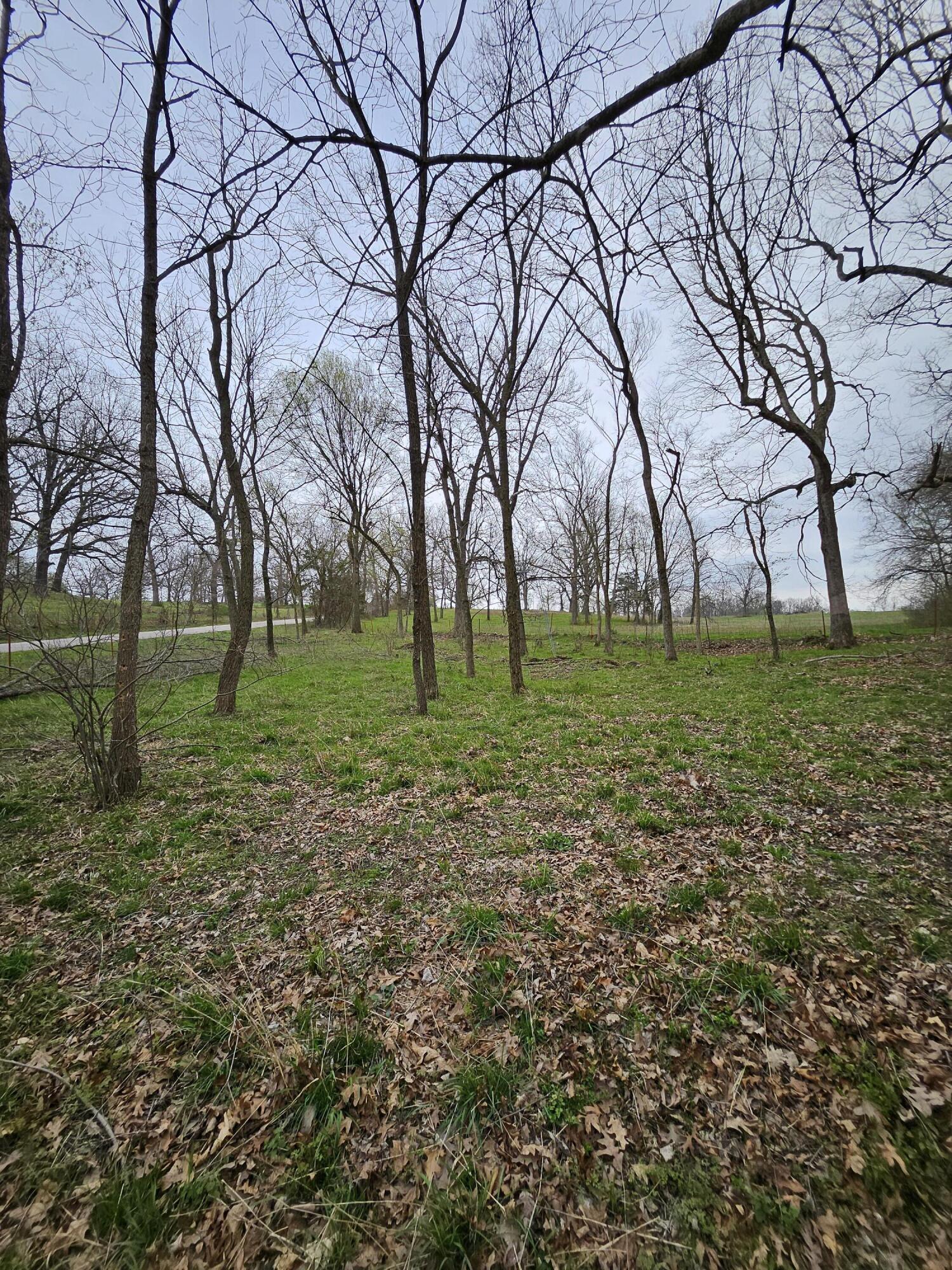 8798 Vole Drive Property Photo 62