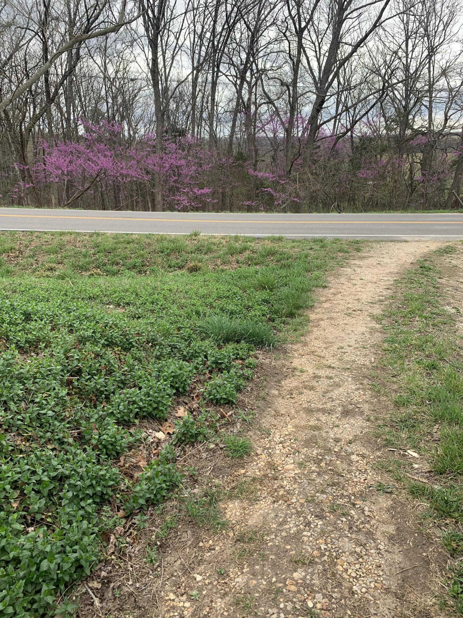 59 Landrace Loop Property Photo 17