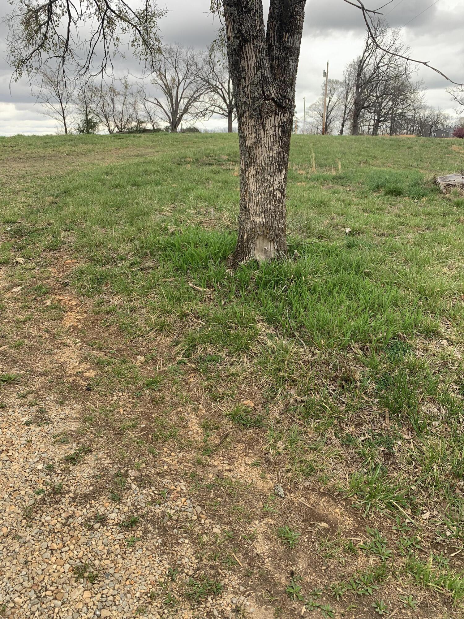 59 Landrace Loop Property Photo 18