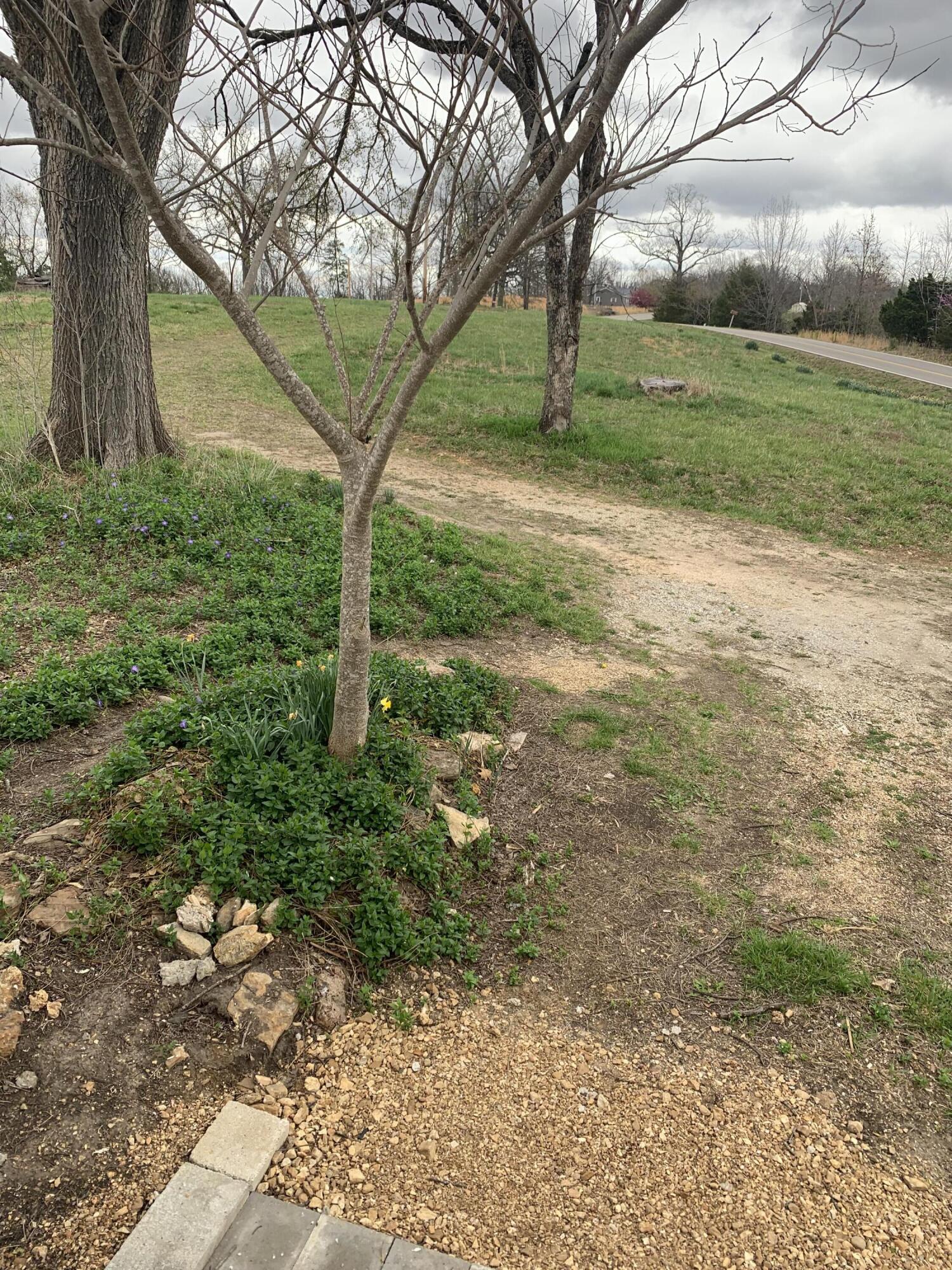 59 Landrace Loop Property Photo 24