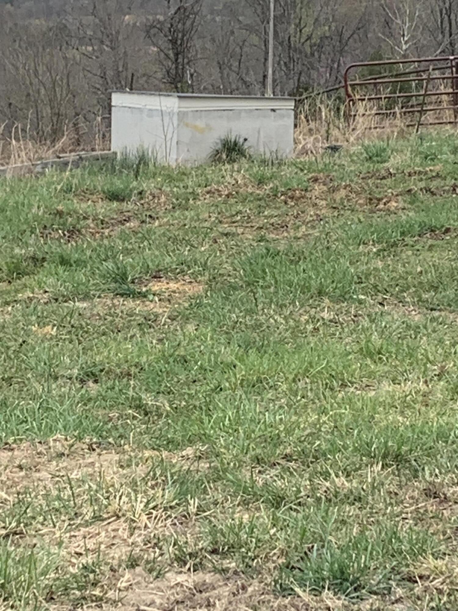 59 Landrace Loop Property Photo 39