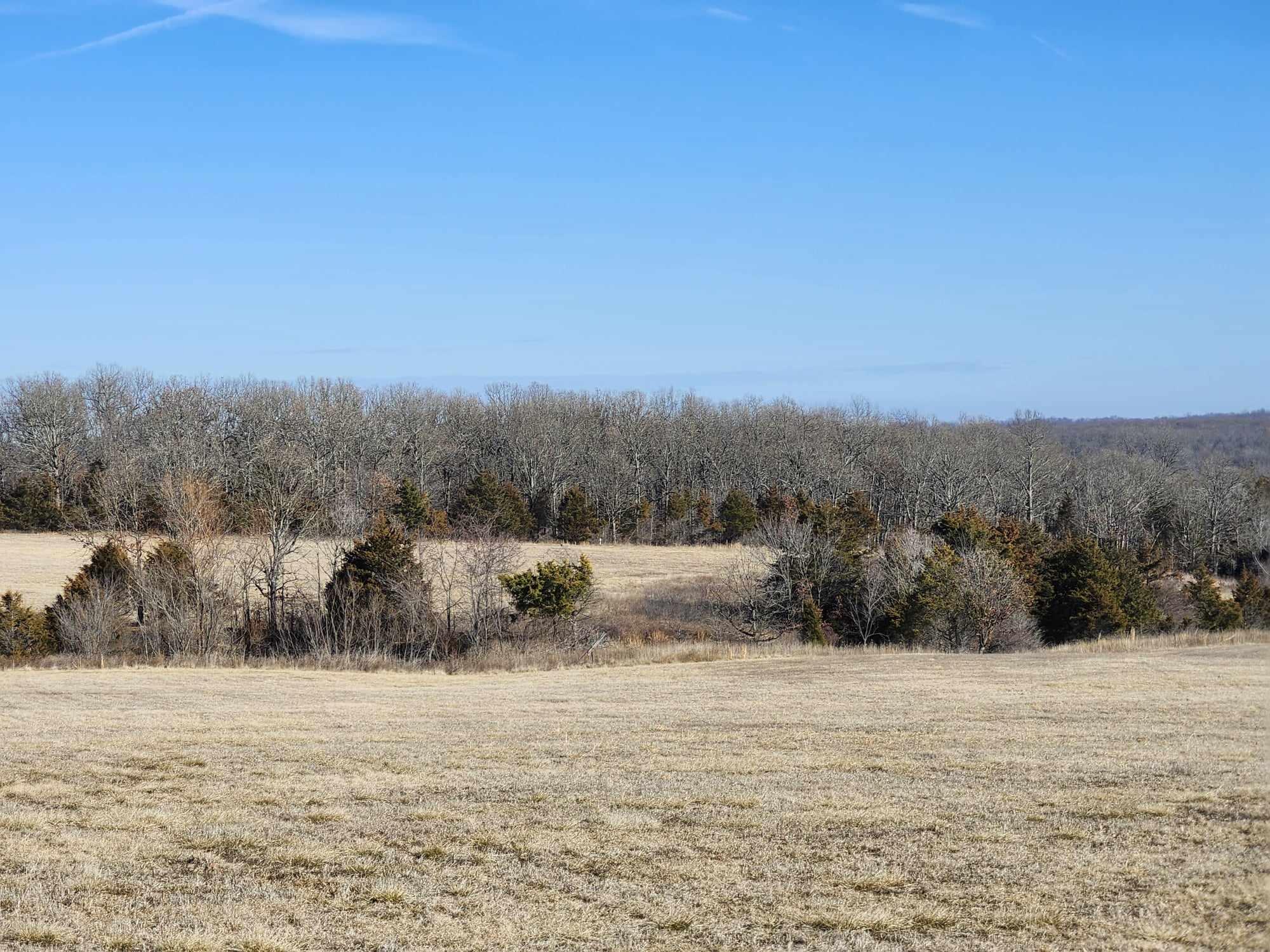 000 Rocky Ridge Road Property Photo 3