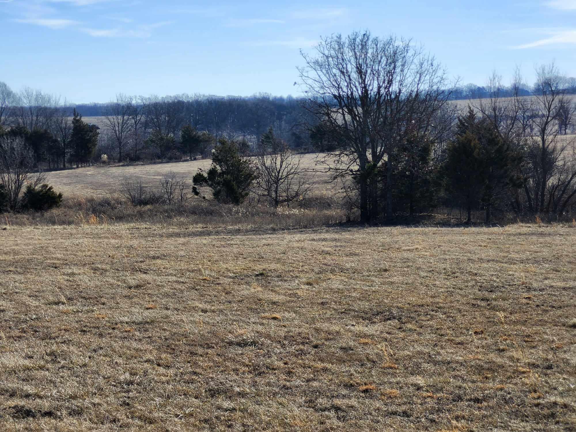 000 Rocky Ridge Road Property Photo 6