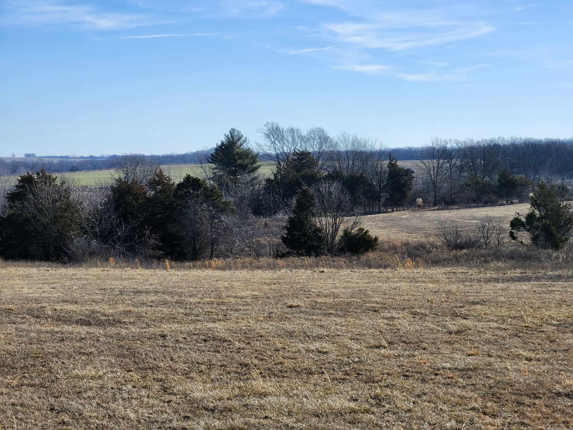 000 Rocky Ridge Road Property Photo 8