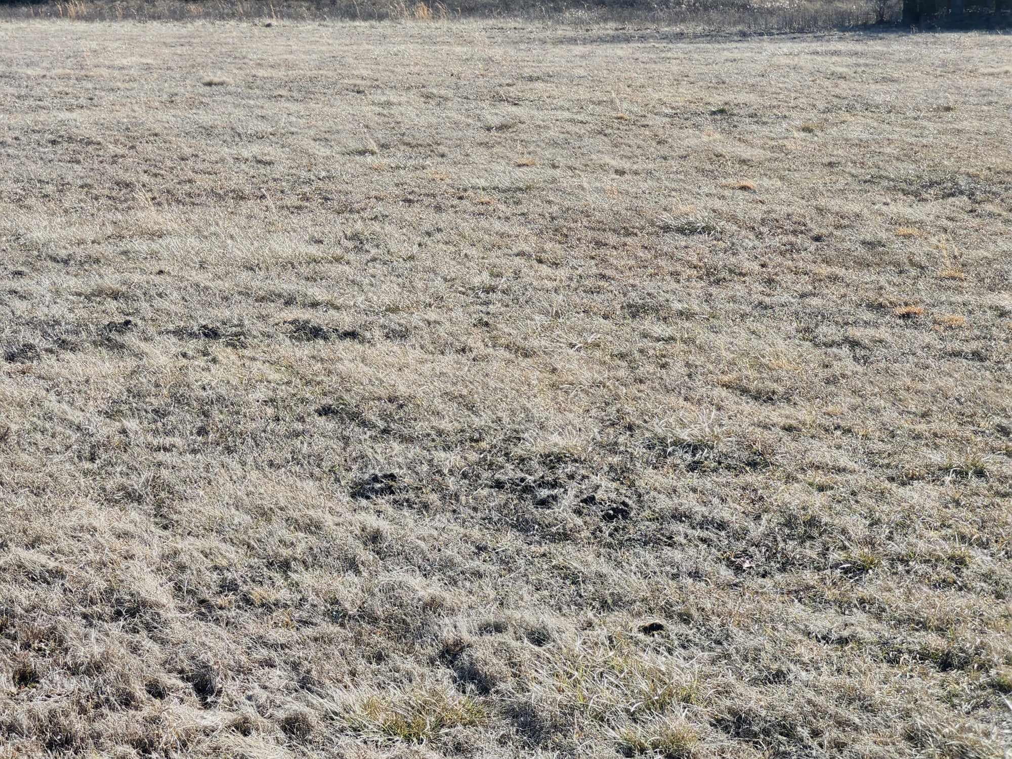 000 Rocky Ridge Road Property Photo 11