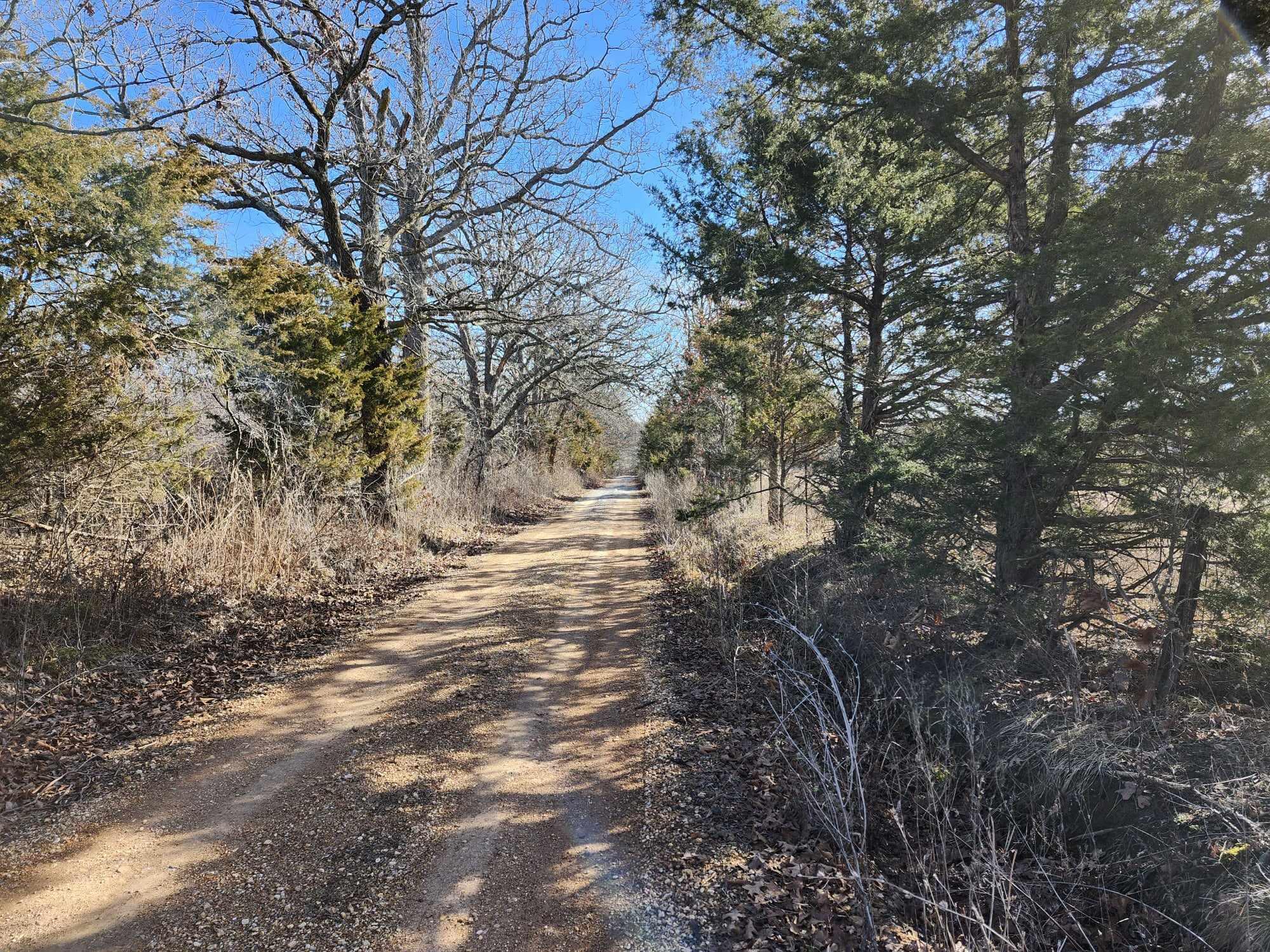 000 Rocky Ridge Road Property Photo 13