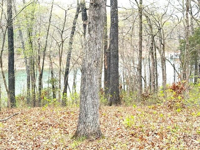 27308 Cordwood Ridge Drive Property Photo 64