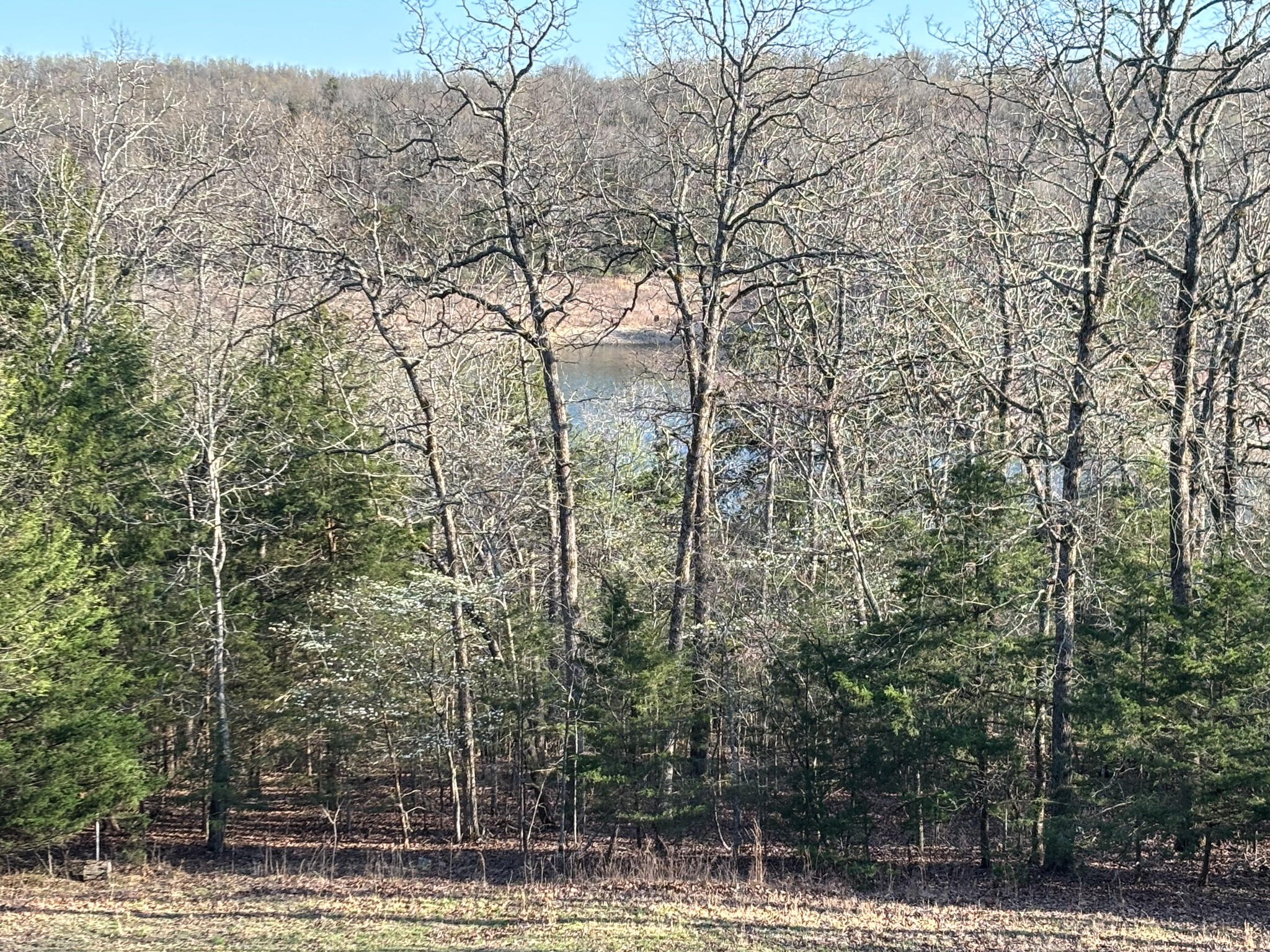 6300 County Road 647 Property Photo 13