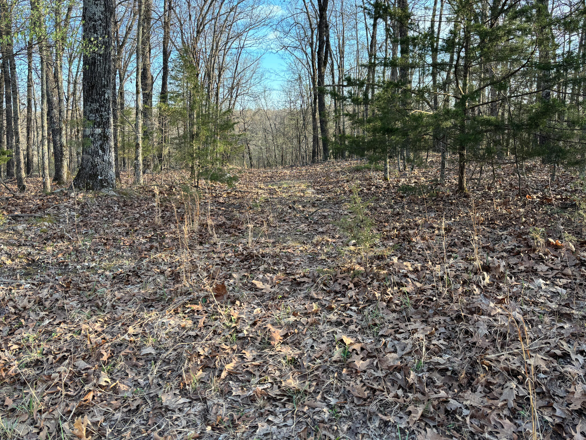 6300 County Road 647 Property Photo 48