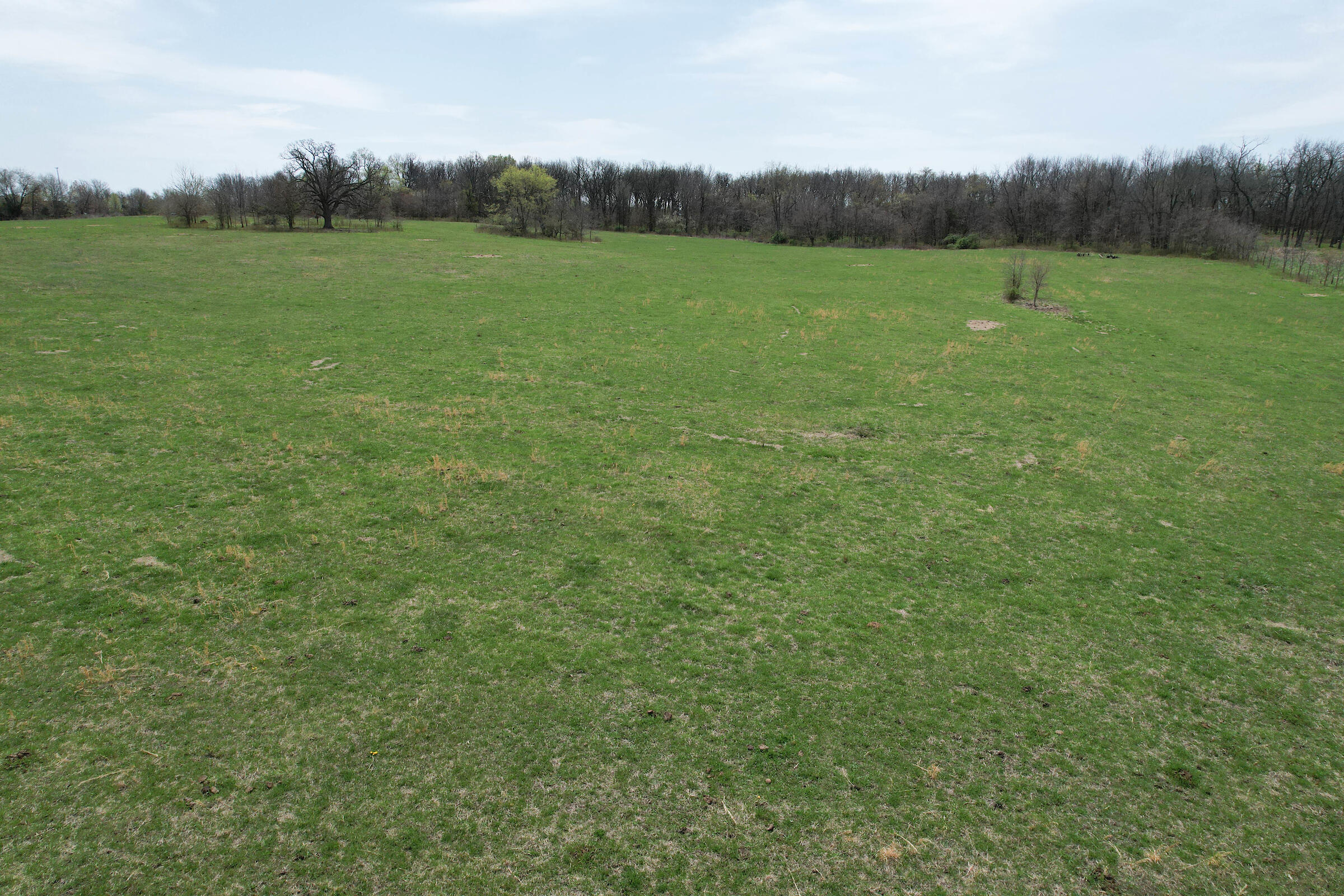 000 West Farm Road 68 Property Photo 5