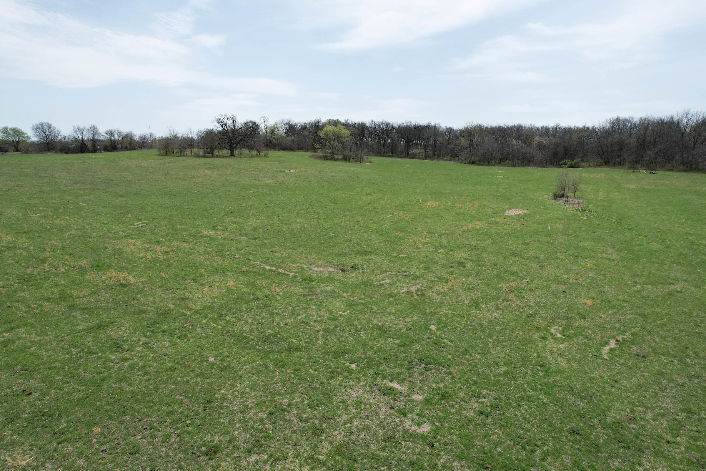 000 West Farm Road 68 Property Photo 6