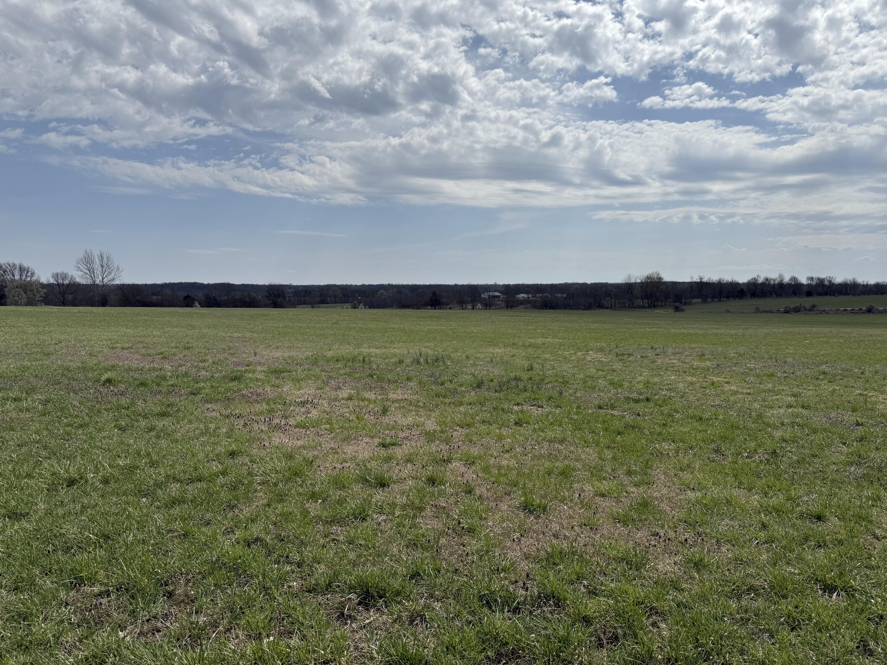 5470 West Republic Road Property Photo