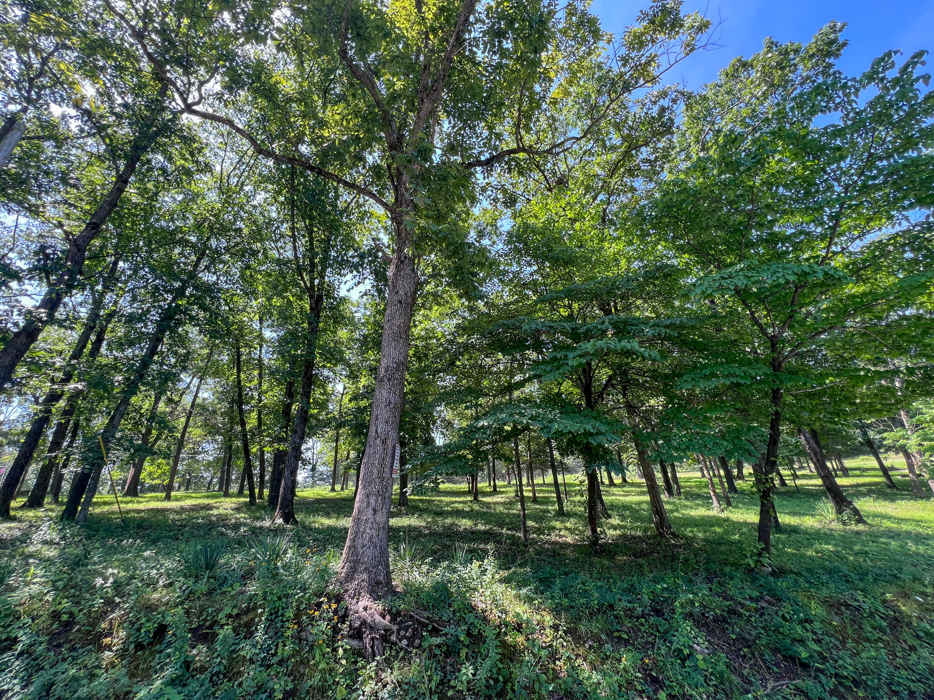 24480 County Road 255 Property Photo 56