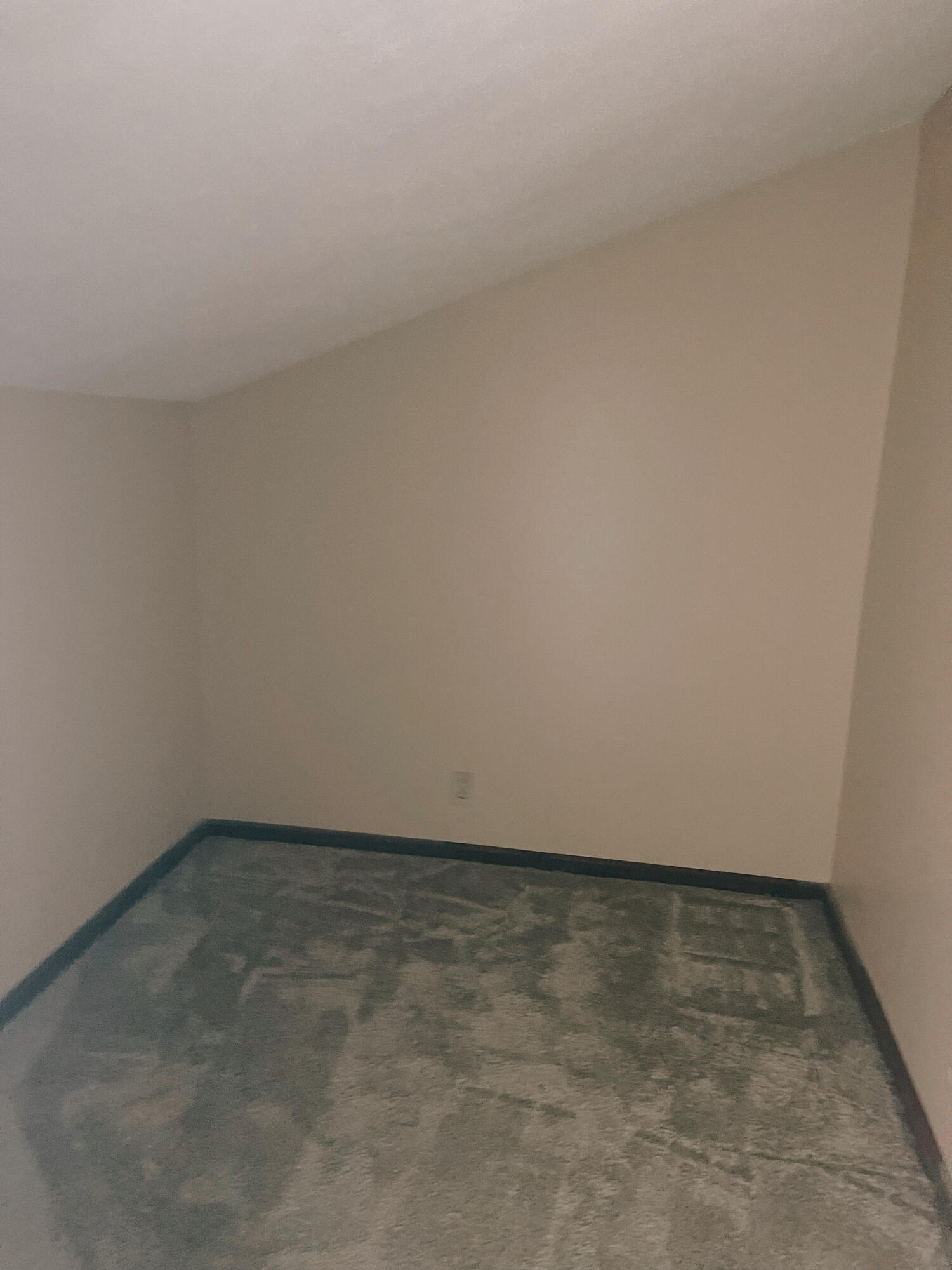 1612 Co Rd 150 Property Photo 26