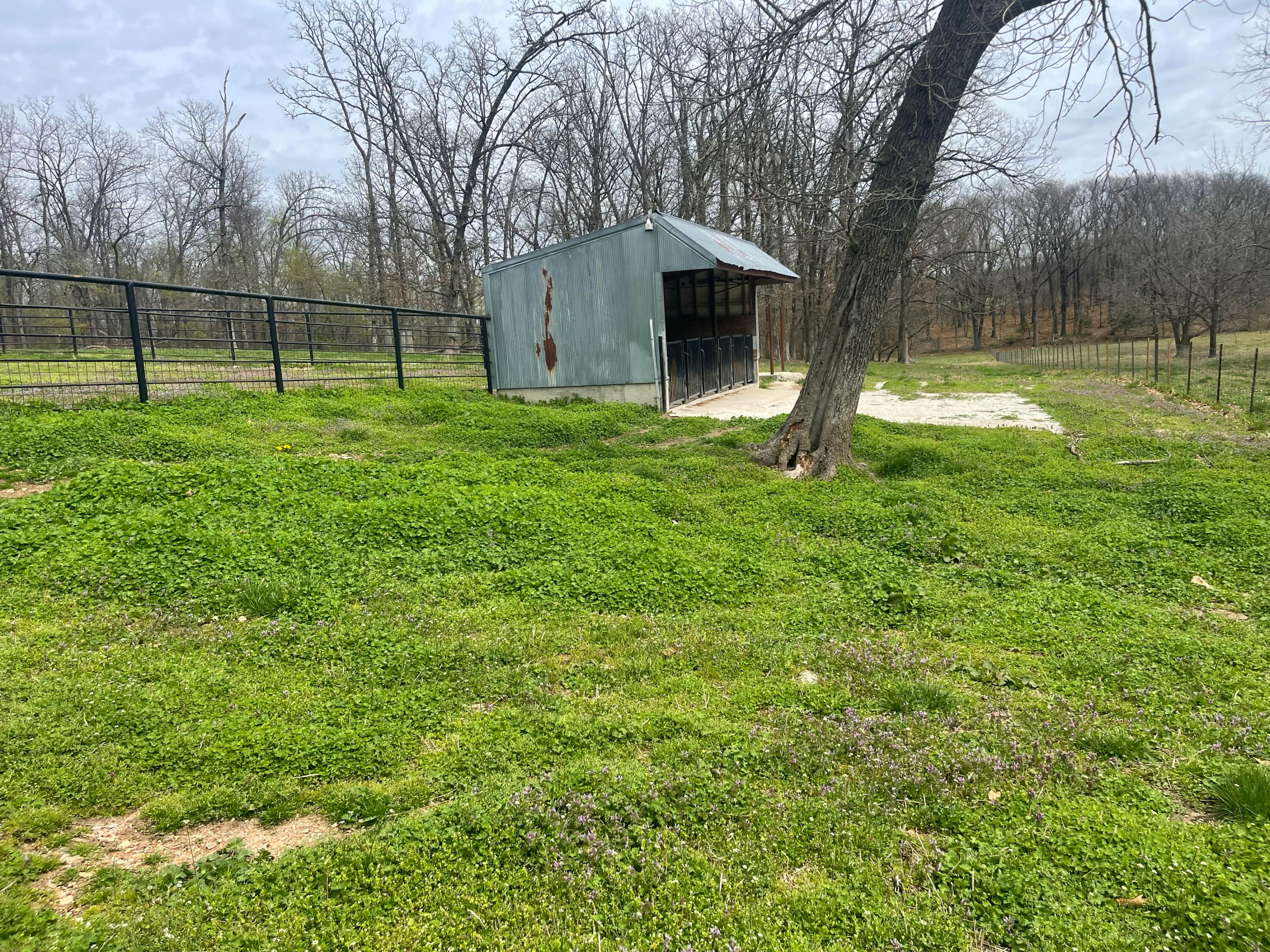 1612 Co Rd 150 Property Photo 33
