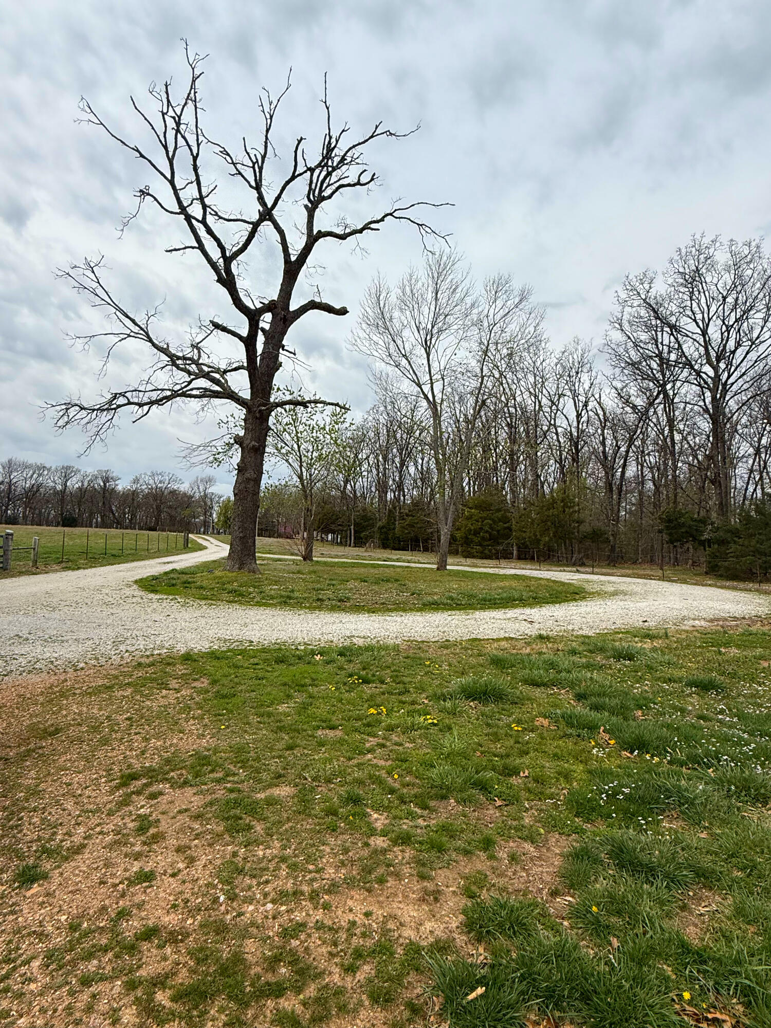 1612 Co Rd 150 Property Photo 49