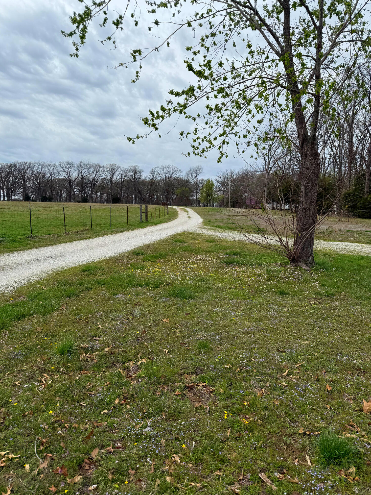 1612 Co Rd 150 Property Photo 50