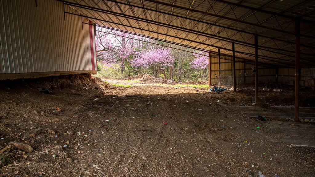 27902 County Rd 365l Property Photo 9