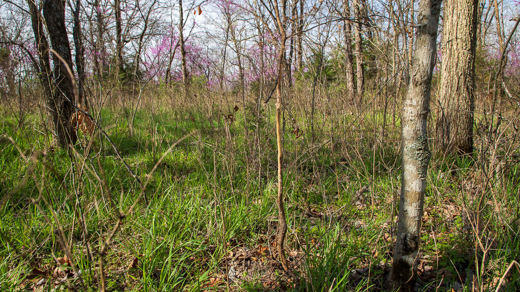 27902 County Rd 365l Property Photo 12