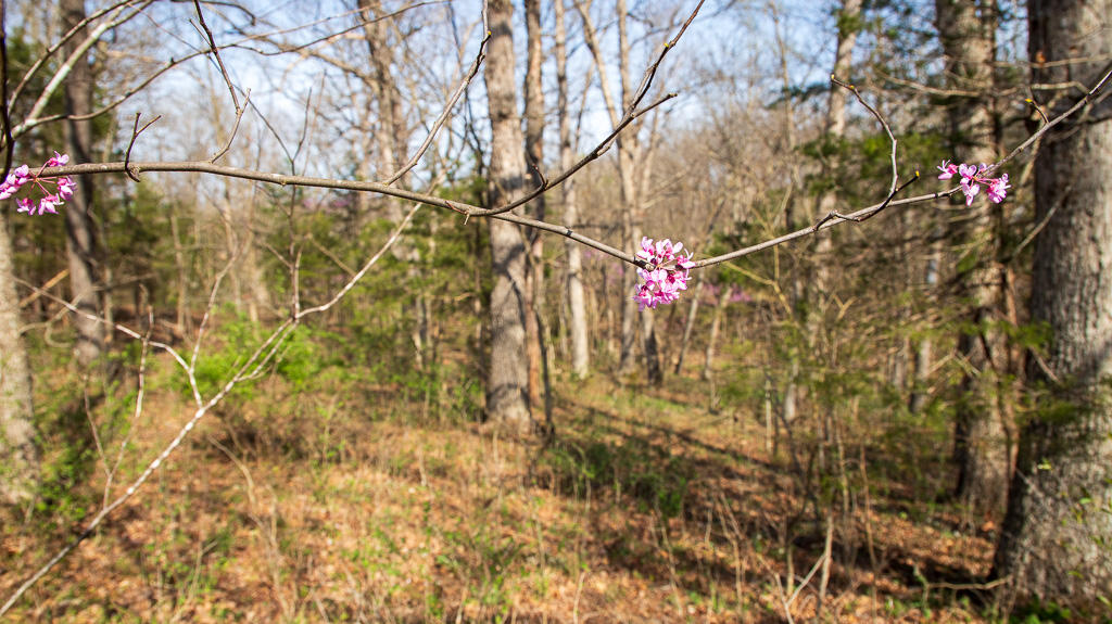 27902 County Rd 365l Property Photo 13