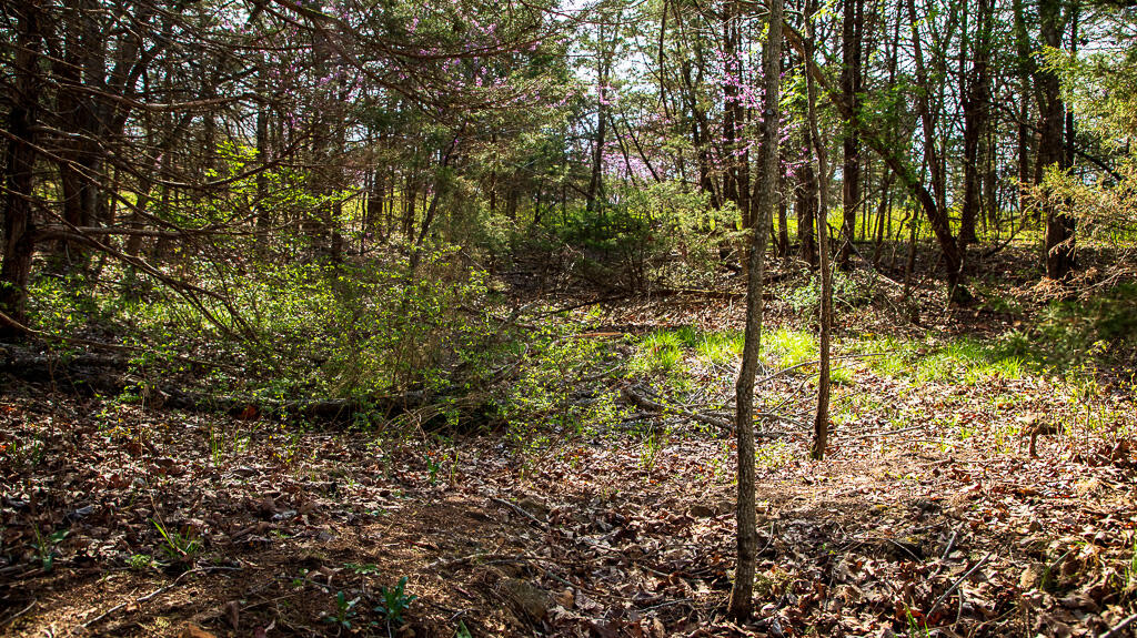 27902 County Rd 365l Property Photo 14