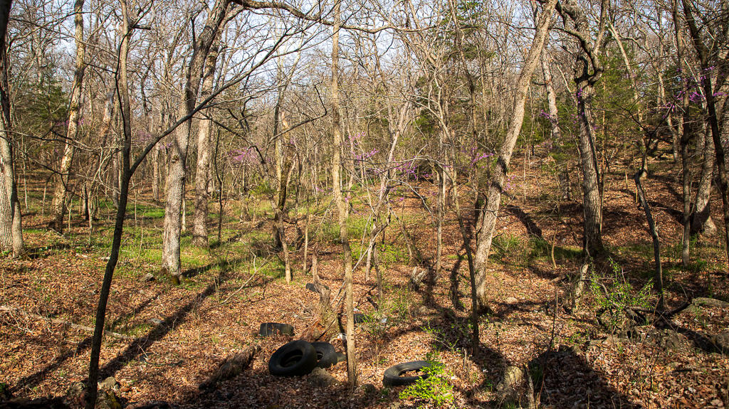 27902 County Rd 365l Property Photo 15