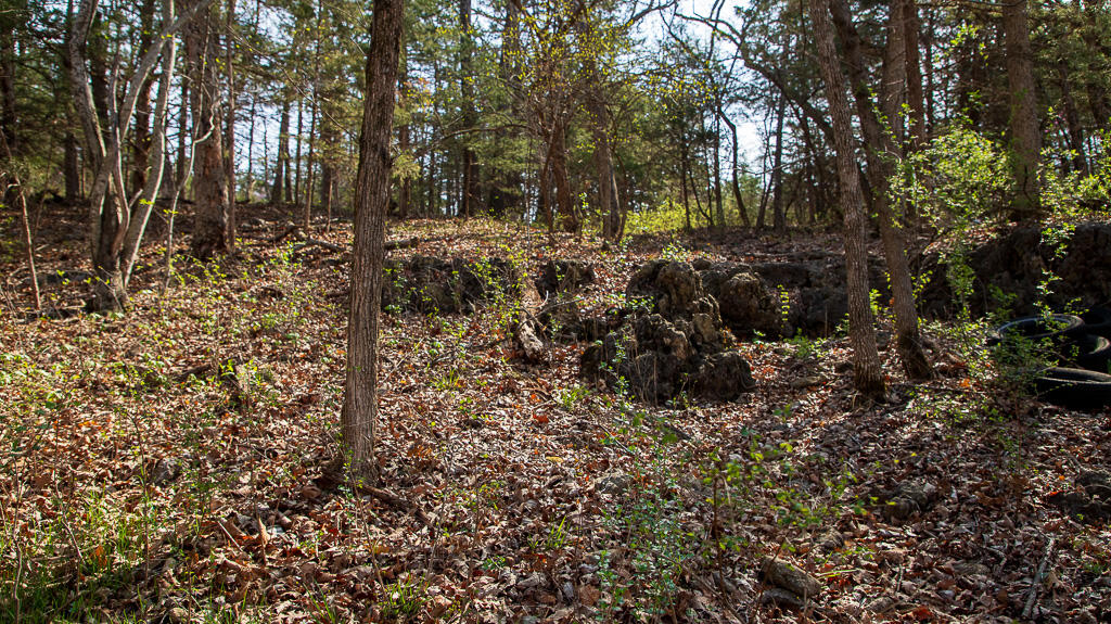 27902 County Rd 365l Property Photo 16