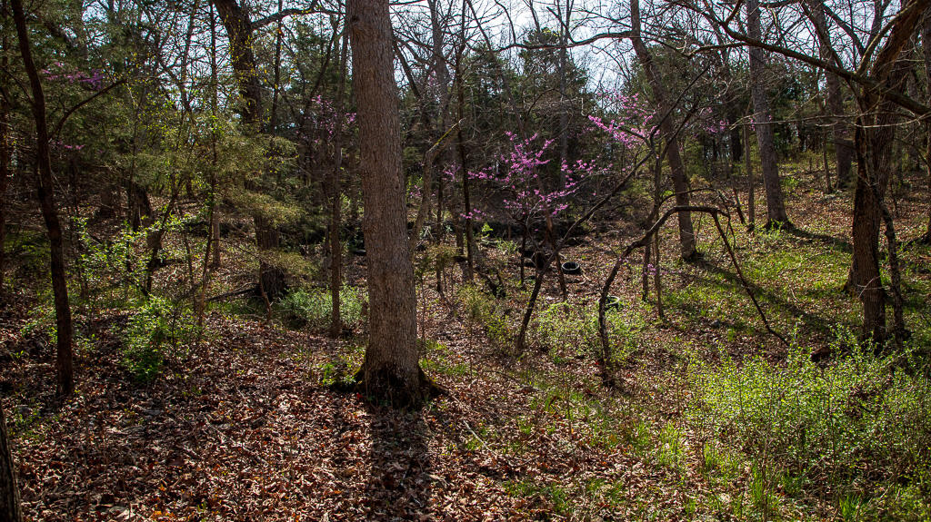 27902 County Rd 365l Property Photo 18
