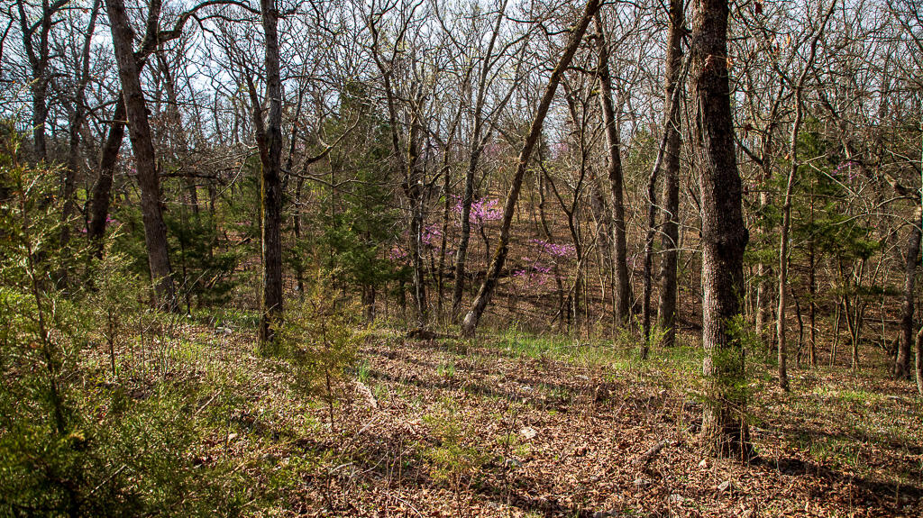 27902 County Rd 365l Property Photo 21