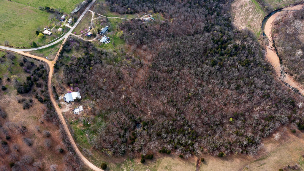 27902 County Rd 365l Property Photo 24