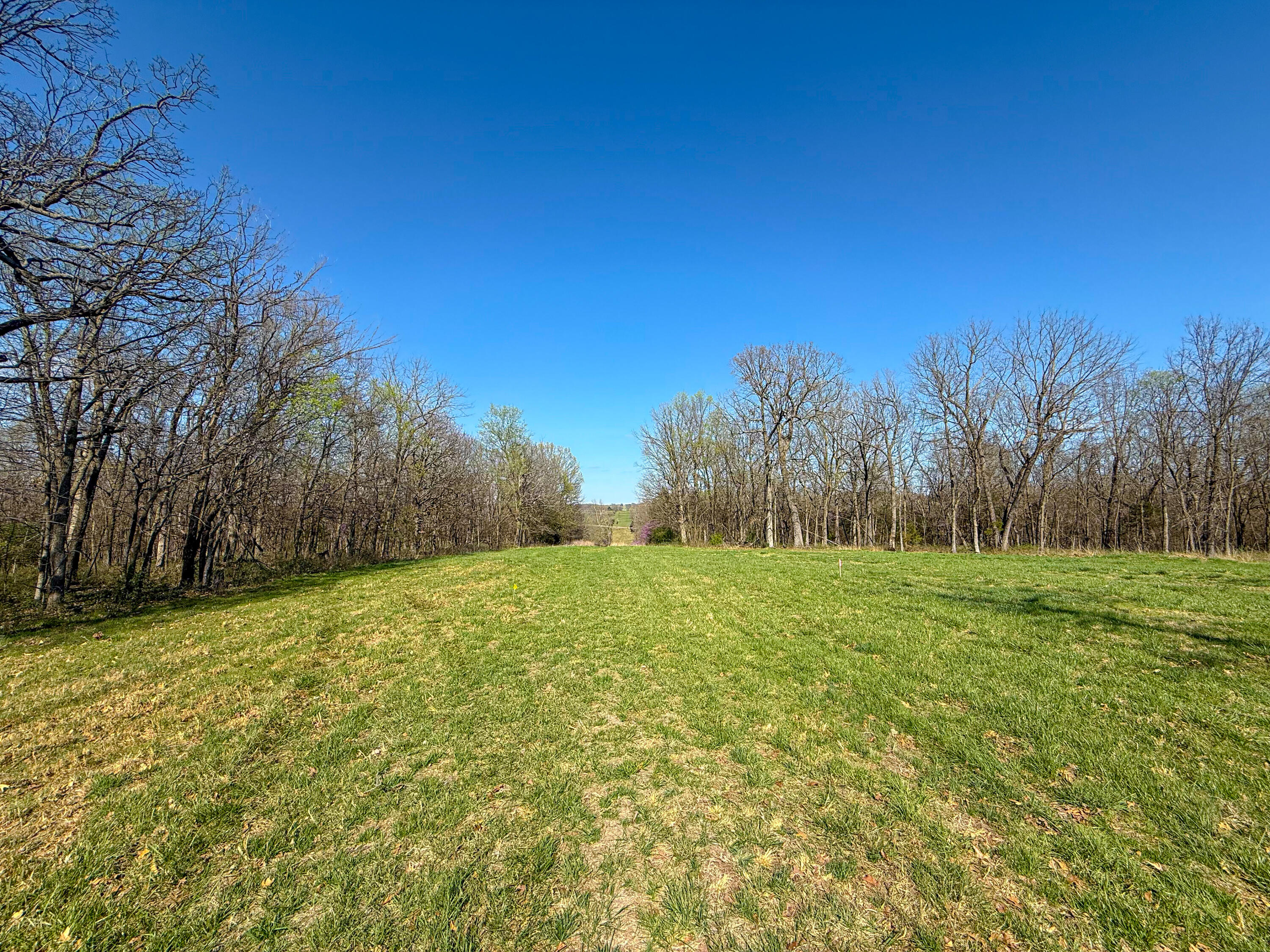 6764 North Farm Road 53 Property Photo 4