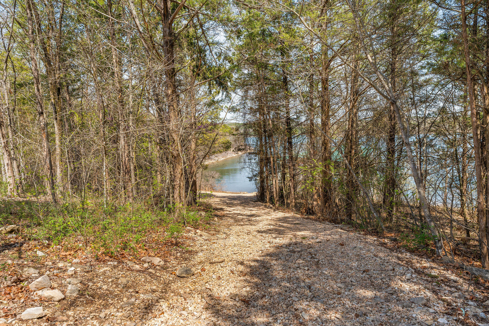 181 Merlot Road Property Photo 71