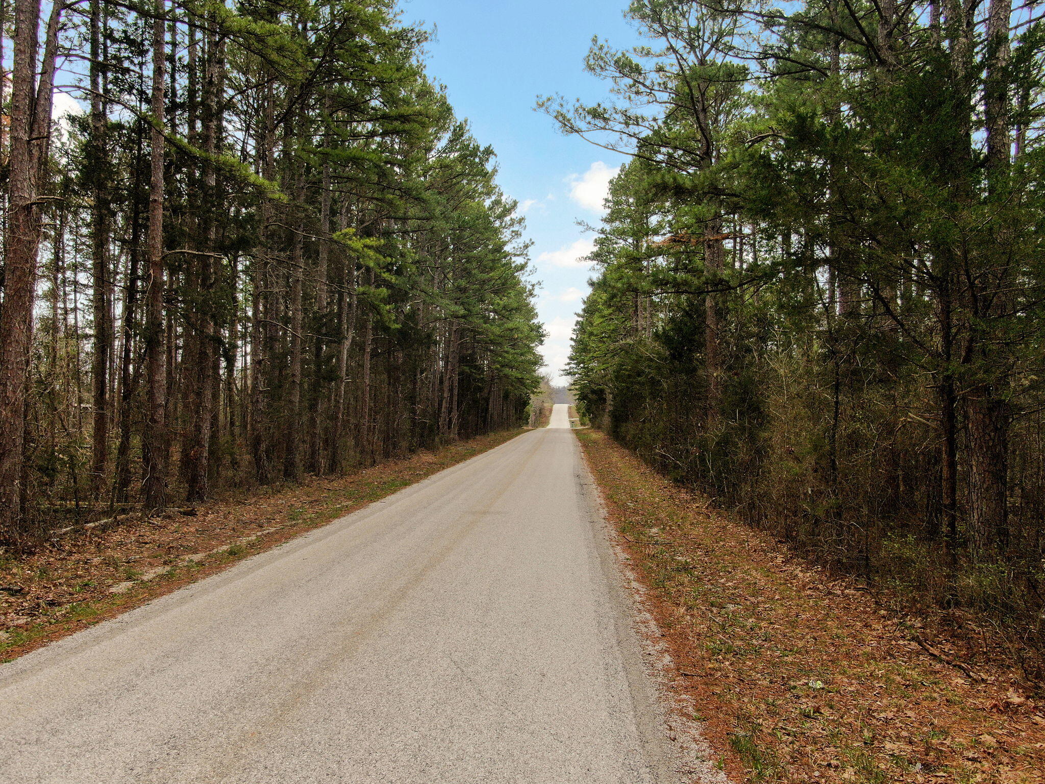 000 Fossil Cove Road Property Photo 1