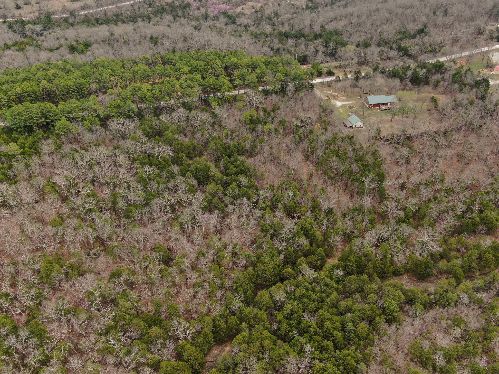000 Fossil Cove Road Property Photo 4