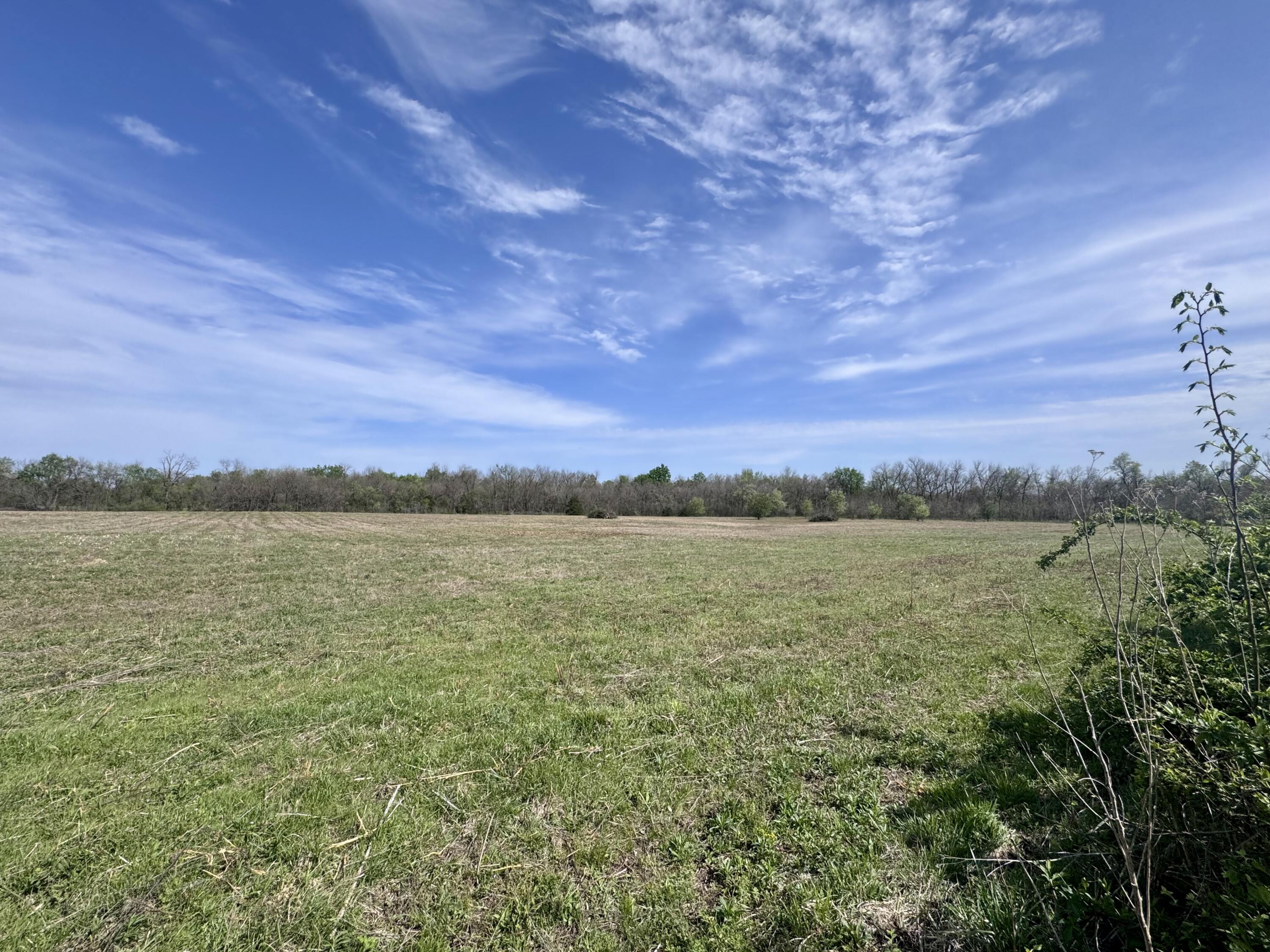000 Panda Road Property Photo 2