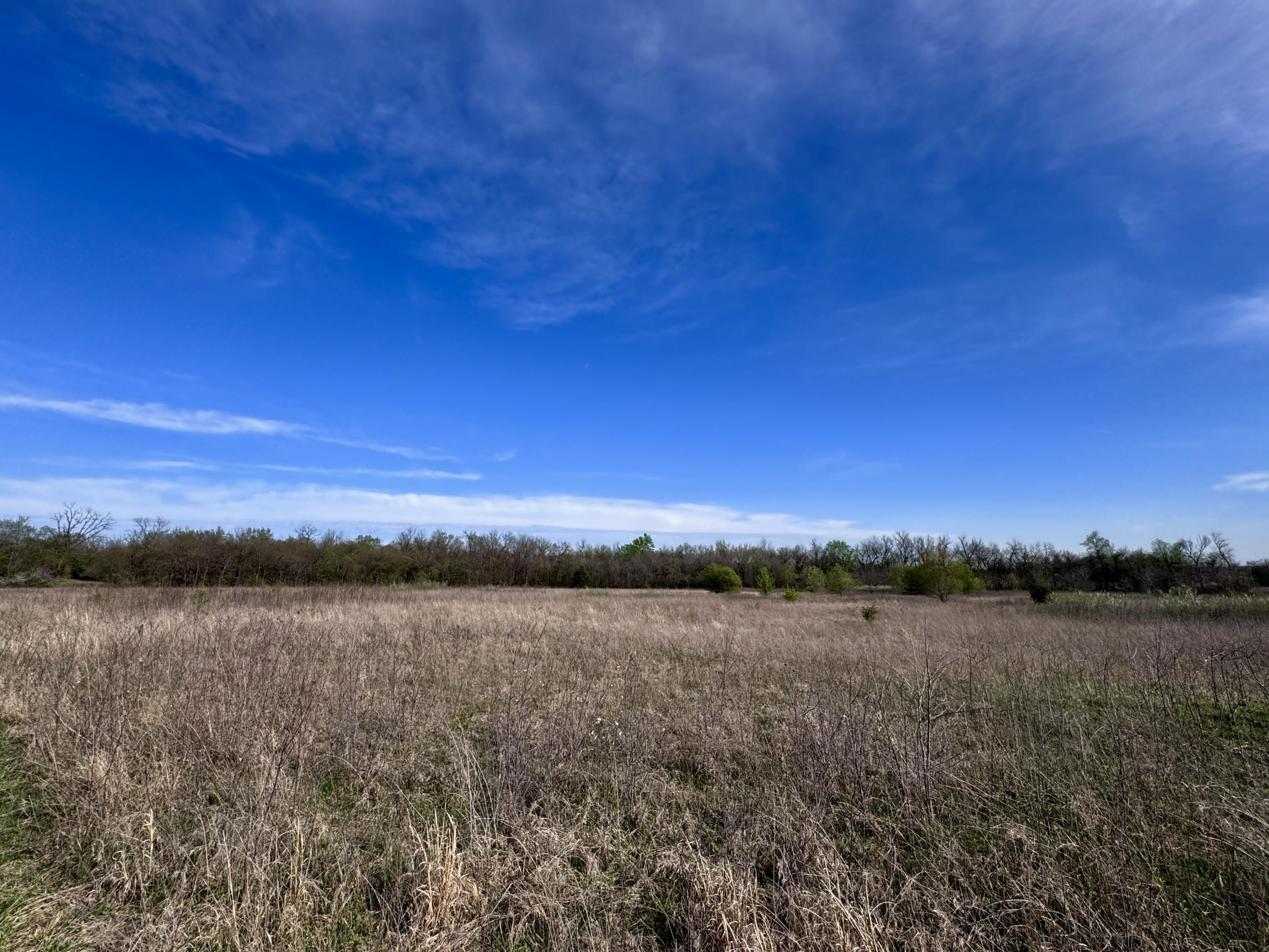 000 Panda Road Property Photo 11
