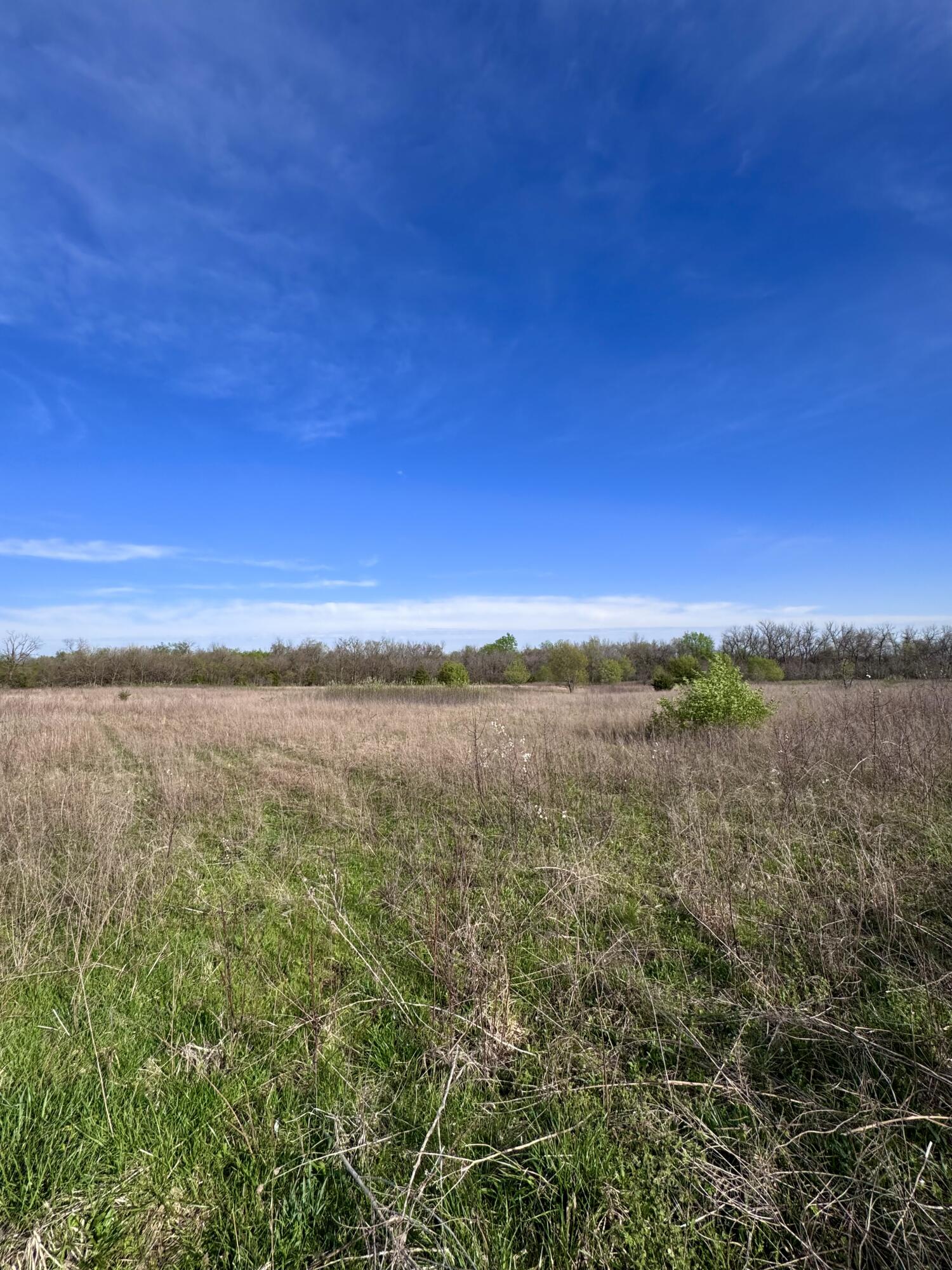 000 Panda Road Property Photo 16