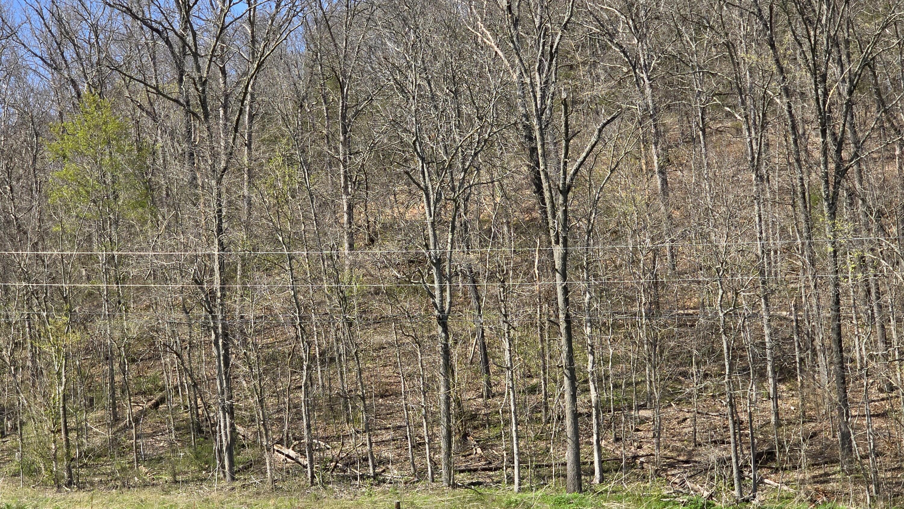 000 Farm Road 2180 Property Photo 4