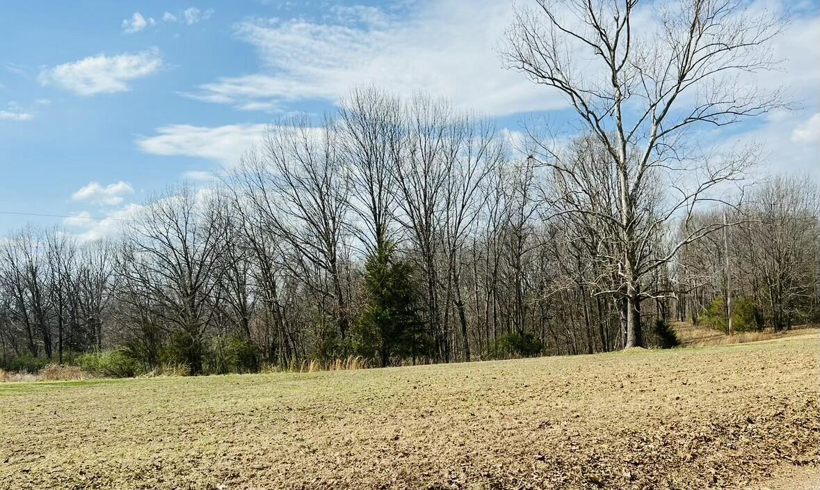 1037 Hummingbird Road Property Photo 29