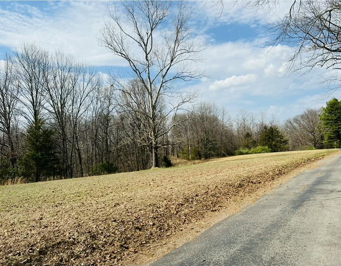 1037 Hummingbird Road Property Photo 32